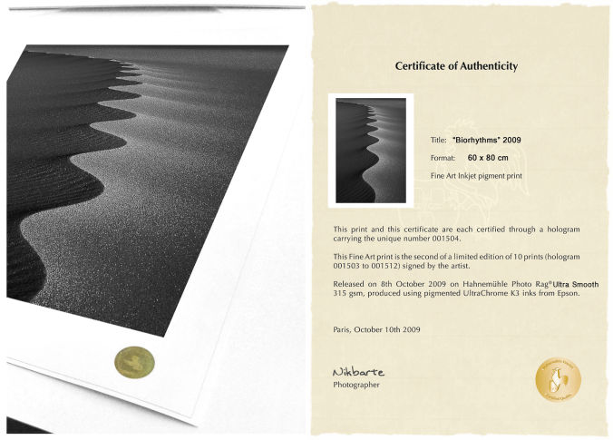 NikBarte's Fine Art print with Hologram and Certificate of Authenticity